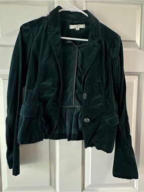 Green Velvet Blazer from Loft